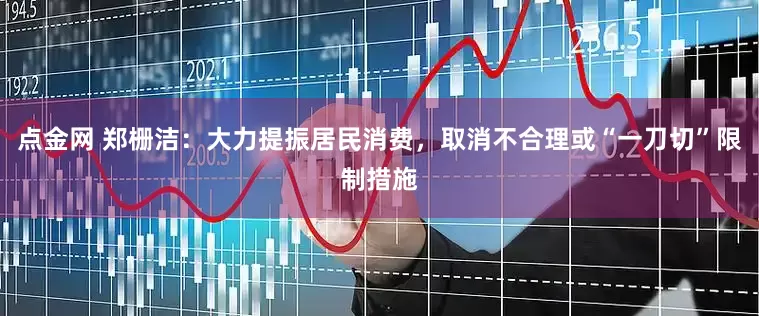 点金网 郑栅洁：大力提振居民消费，取消不合理或“一刀切”限制措施