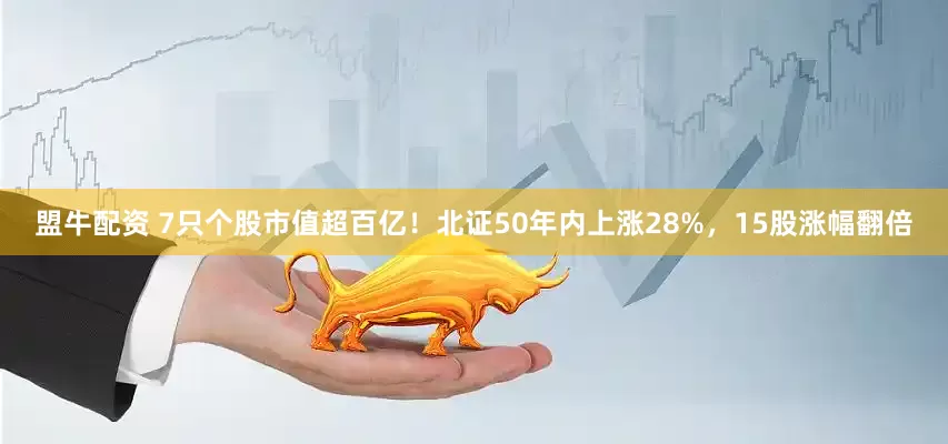 盟牛配资 7只个股市值超百亿！北证50年内上涨28%，15股涨幅翻倍